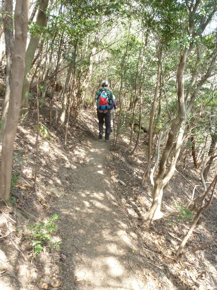 P1200723_mid.jpg