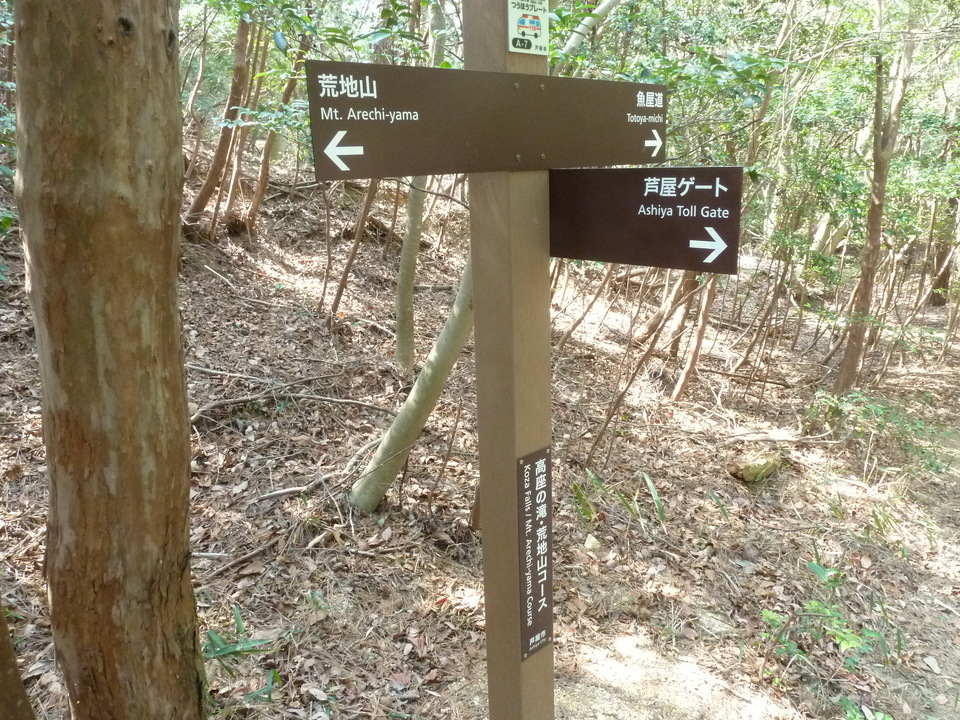 P1200748_mid.jpg