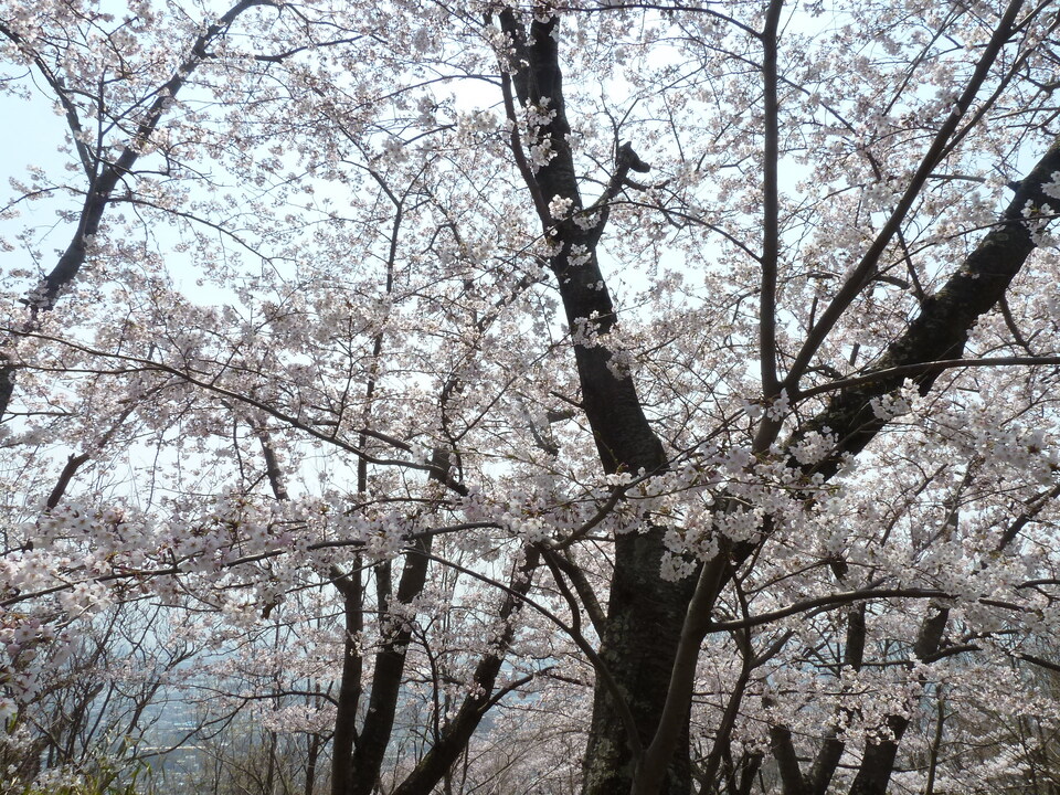 P1200815_mid.jpg