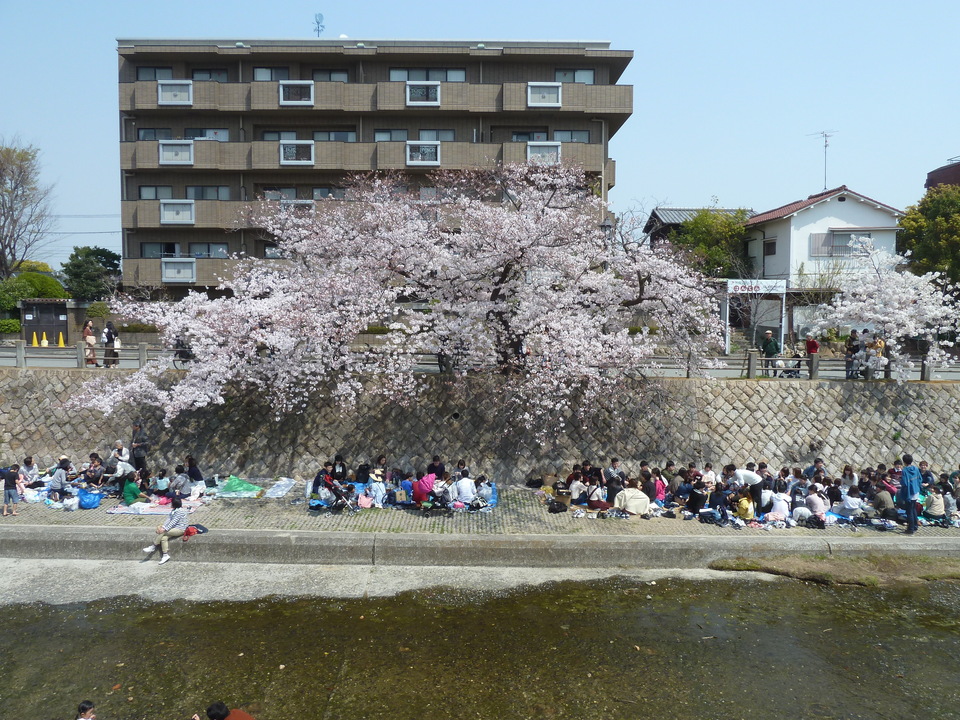 P1200877_mid.jpg