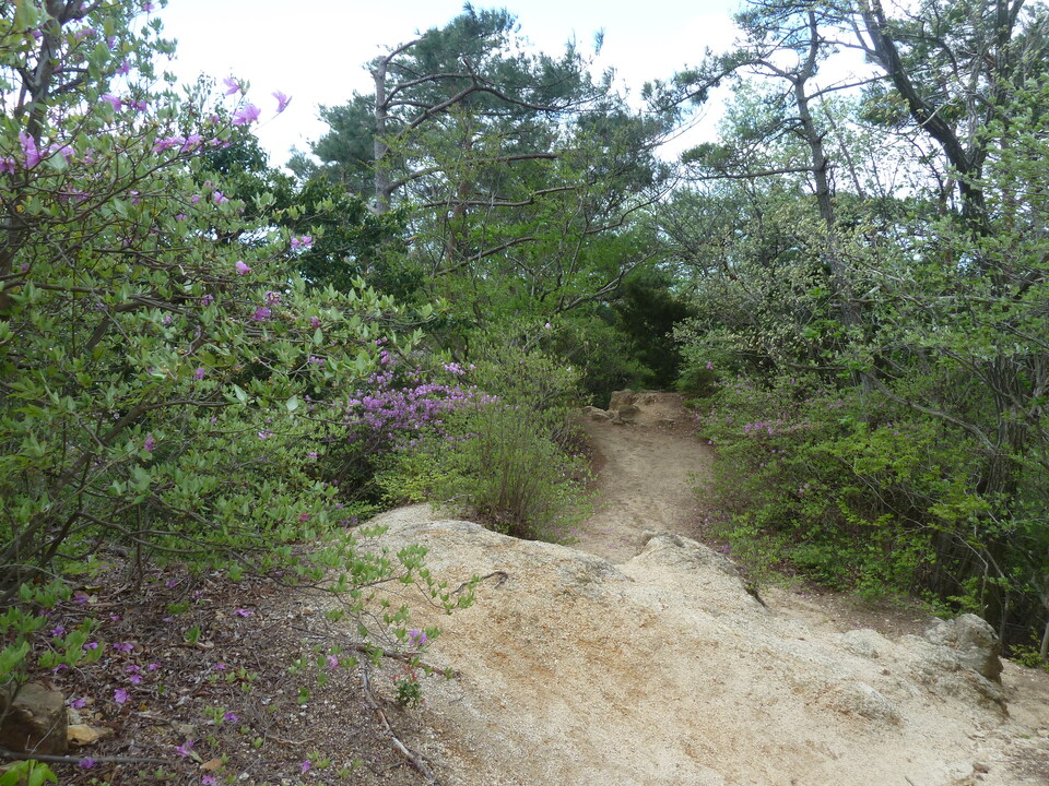 P1210057_mid.jpg