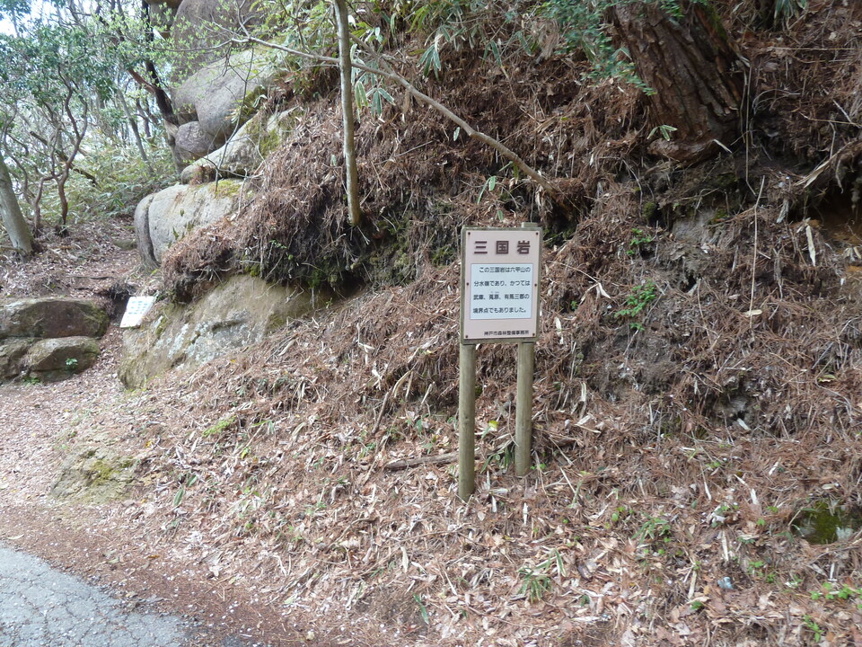 P1210065_mid.jpg