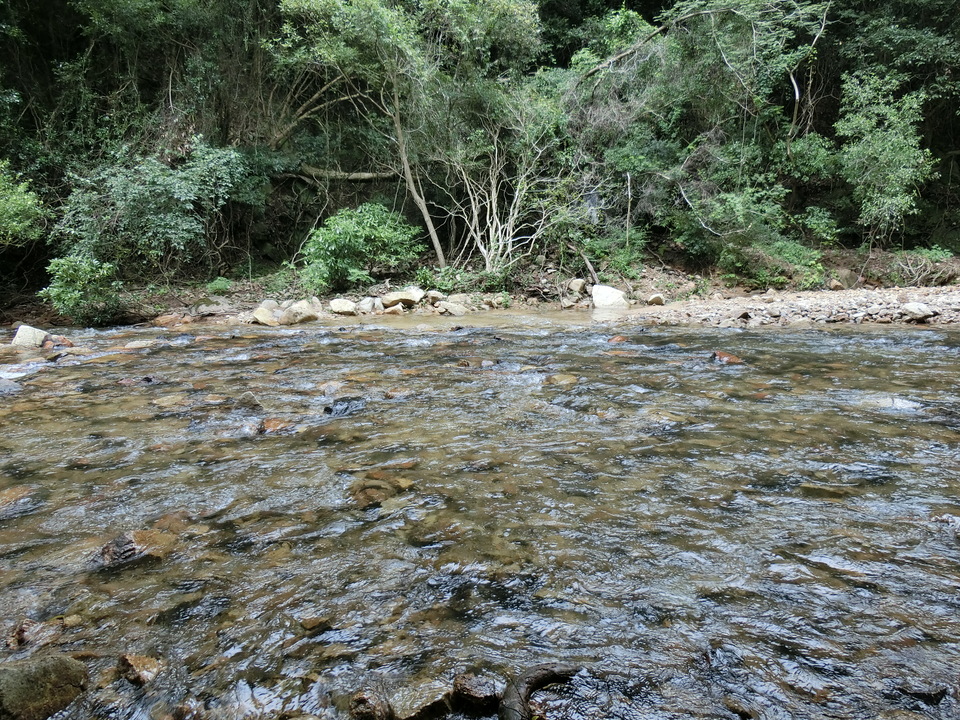 CIMG3154_mid.jpg