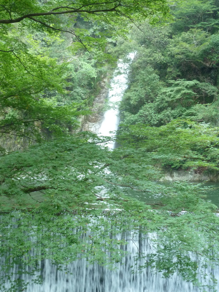 P1220354_mid.jpg