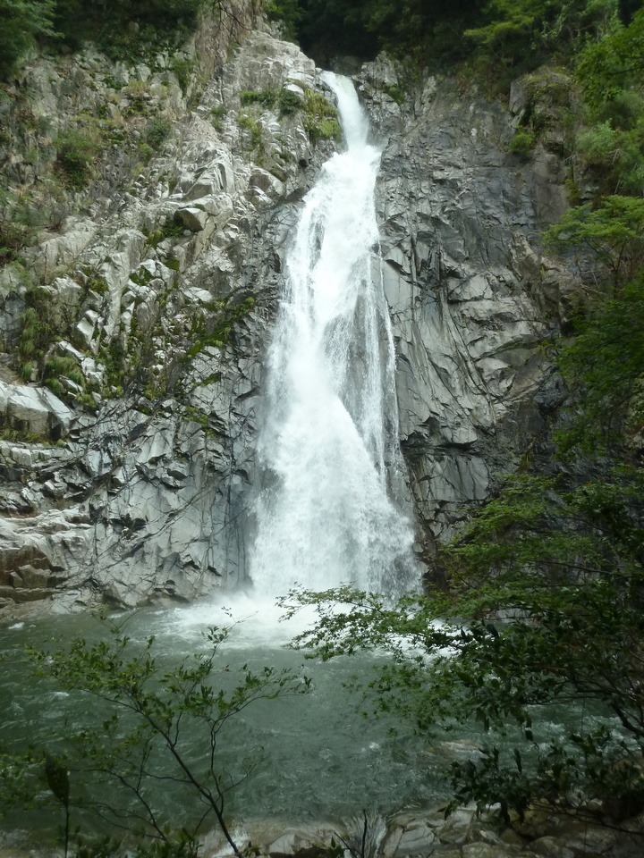 P1220359_mid.jpg