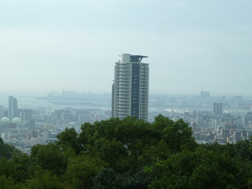 P1220364_mid.jpg