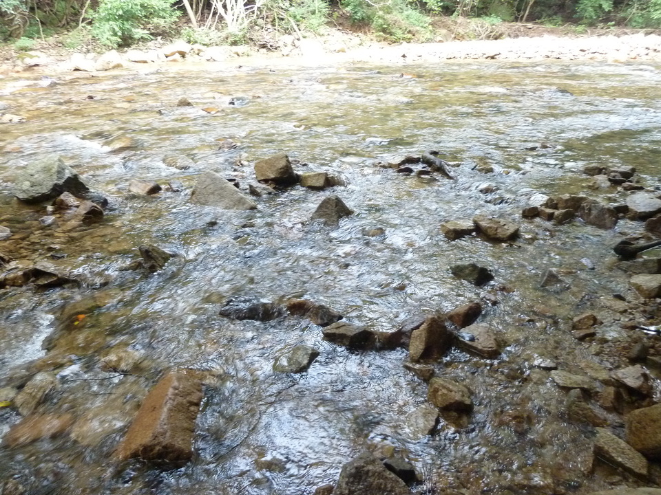 P1220376_mid.jpg