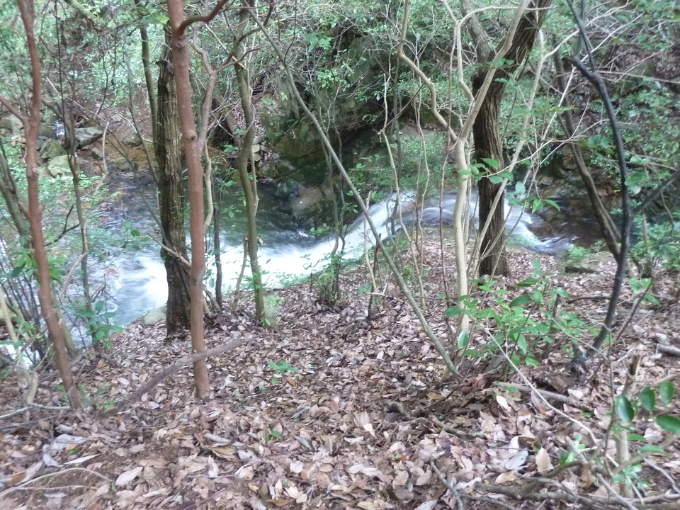 P1220389_mid.jpg
