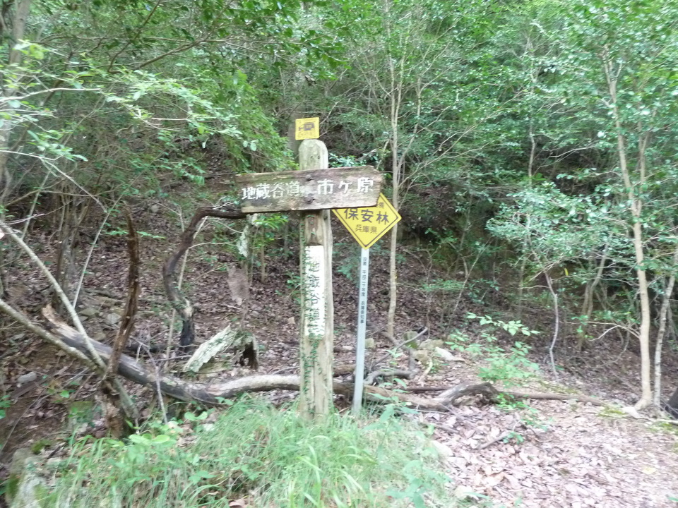 P1220393_mid.jpg