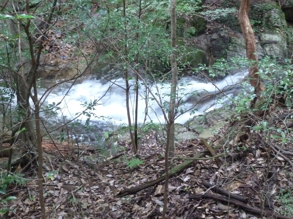 P1220399_mid.jpg