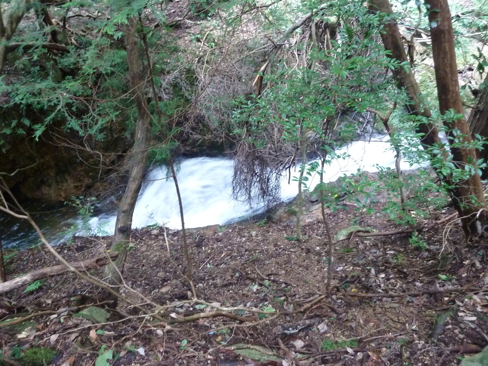 P1220404_mid.jpg