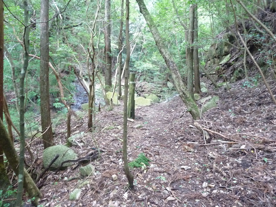 P1220405_mid.jpg