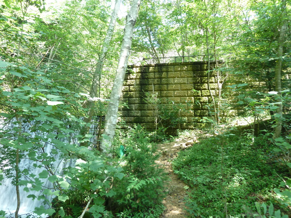 P1220460_mid.jpg