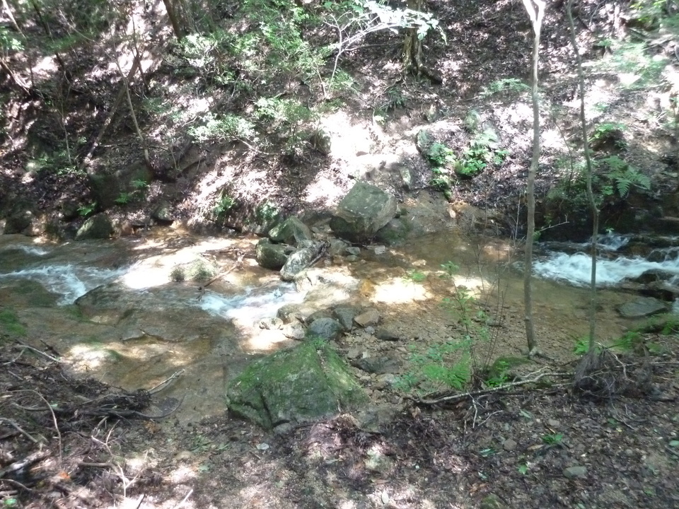 P1220467_mid.jpg