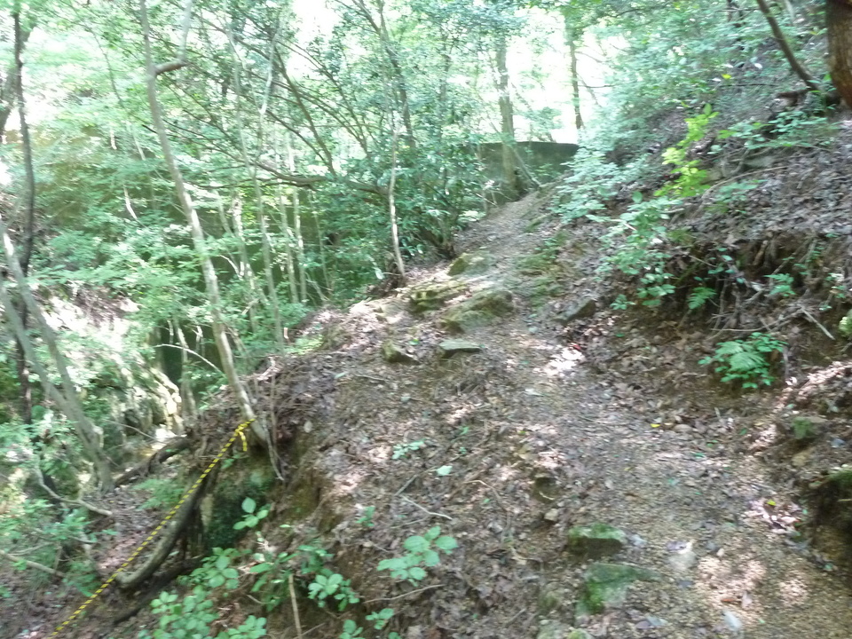 P1220486_mid.jpg