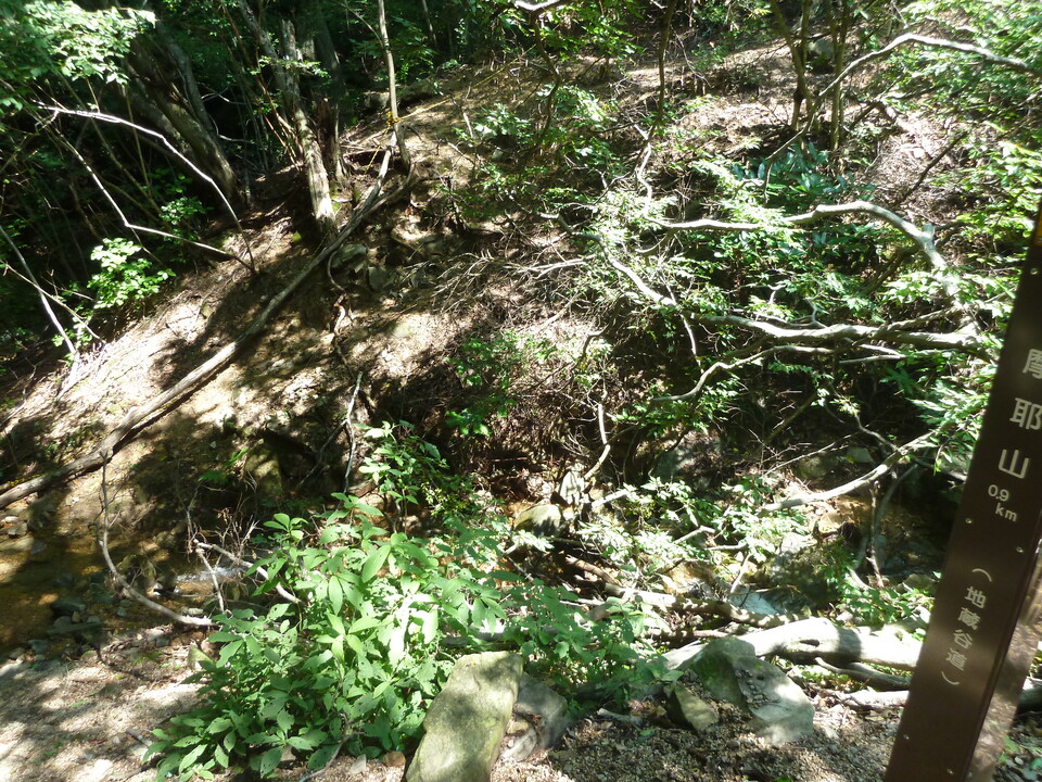 P1220488_mid.jpg