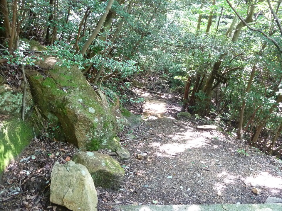 P1220497_mid.jpg