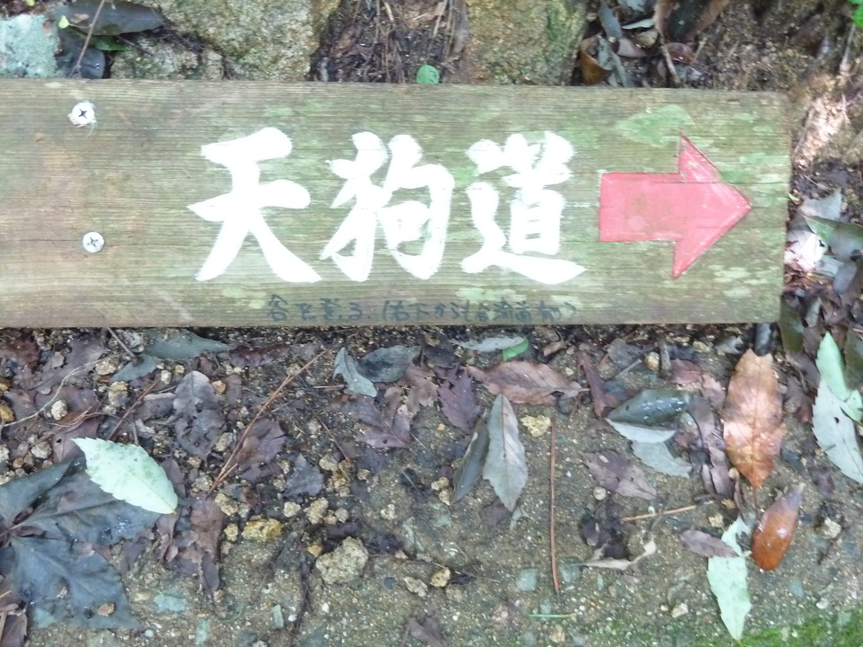 P1220498_mid.jpg