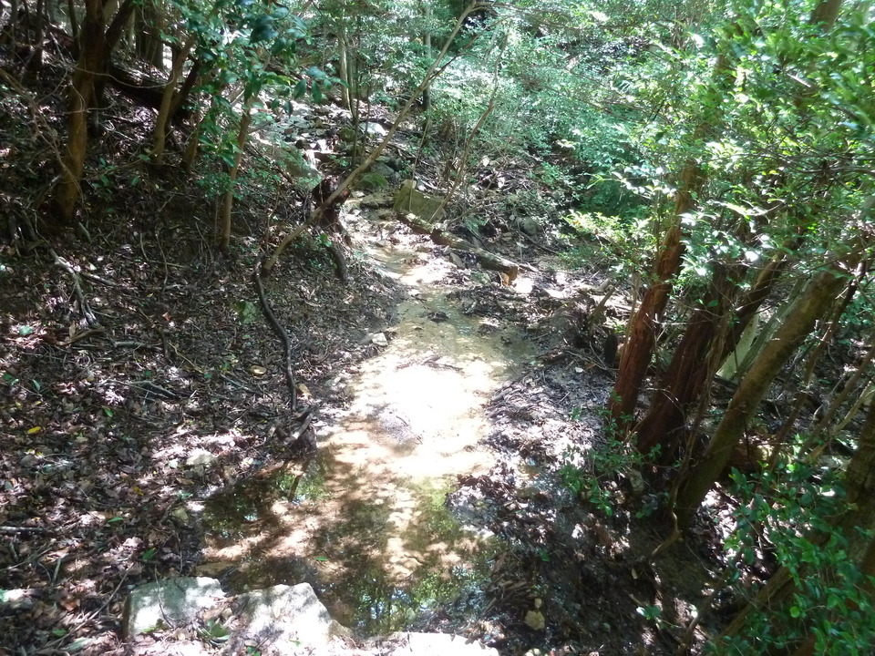 P1220499_mid.jpg
