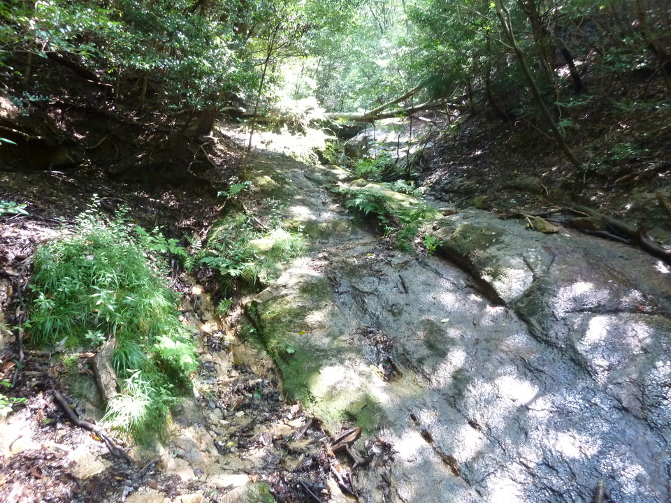 P1220503_mid.jpg