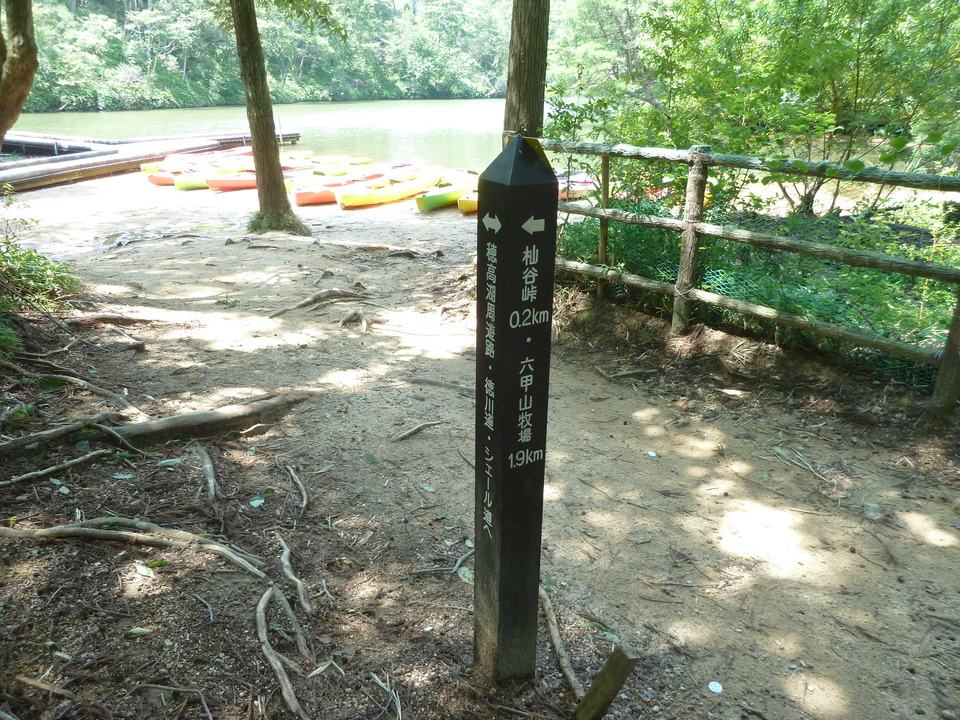 P1220531_mid.jpg