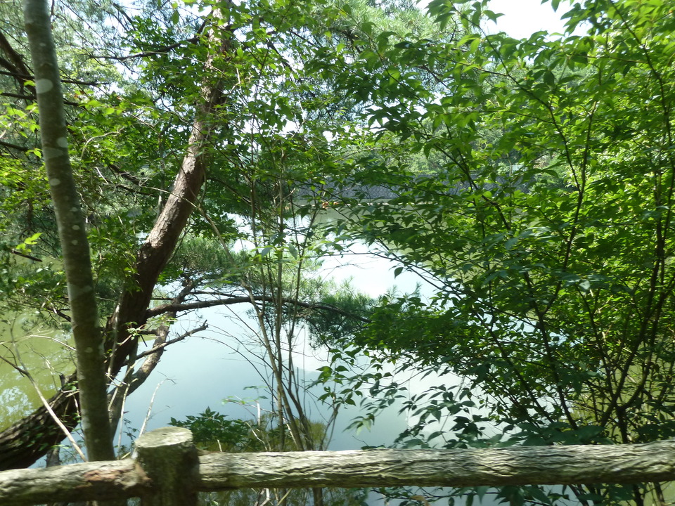 P1220534_mid.jpg