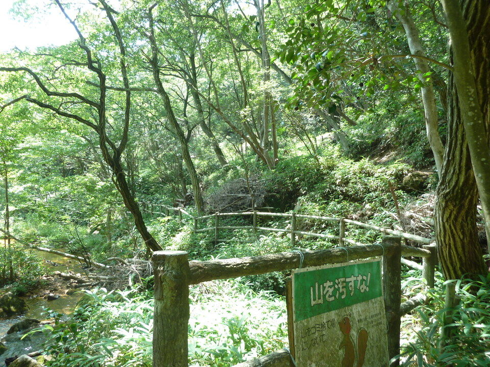 P1220537_mid.jpg