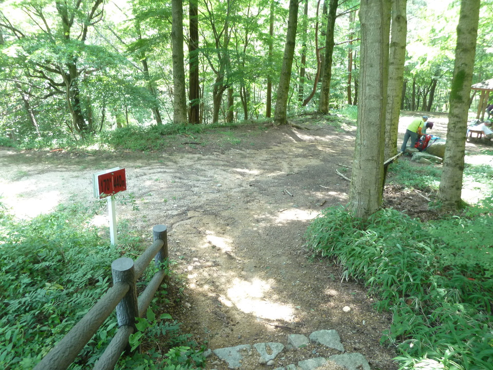 P1220545_mid.jpg