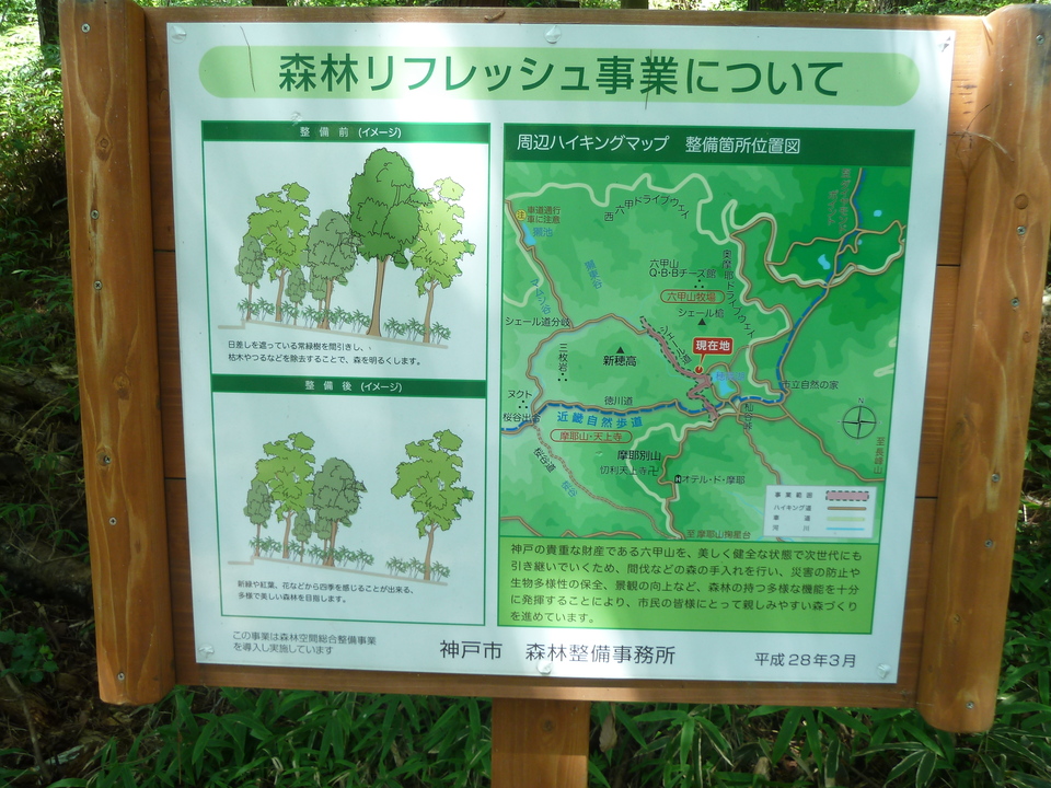 P1220550_mid.jpg