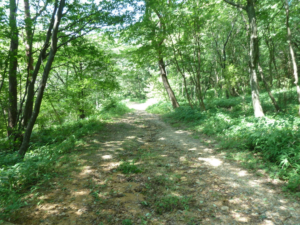 P1220551_mid.jpg