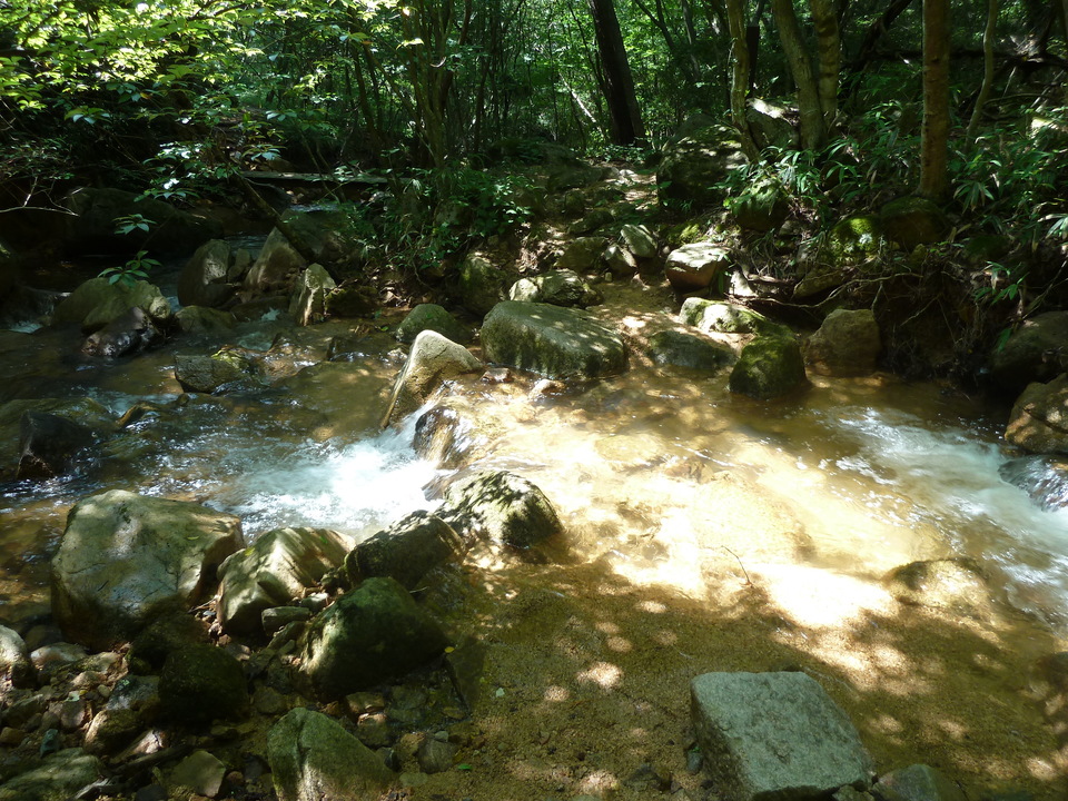 P1220557_mid.jpg