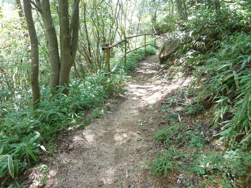 P1220570_mid.jpg