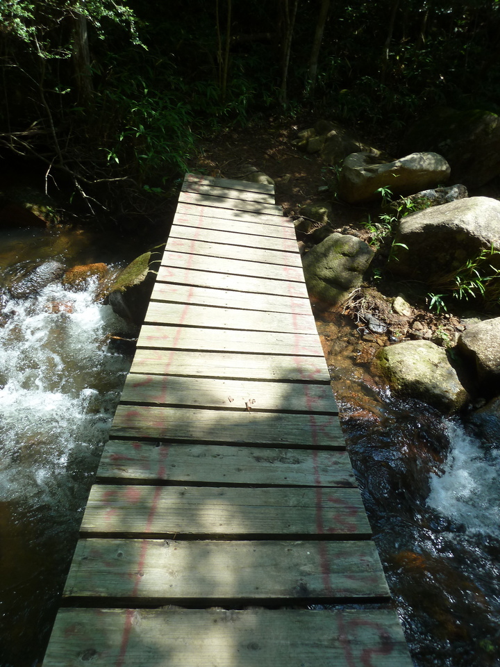 P1220575_mid.jpg