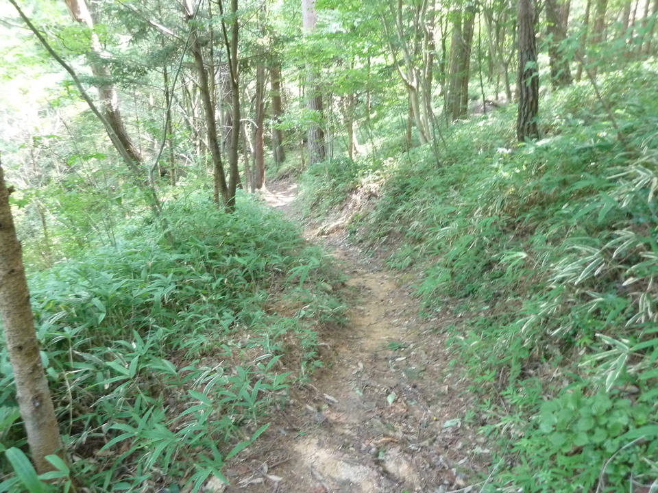 P1220588_mid.jpg