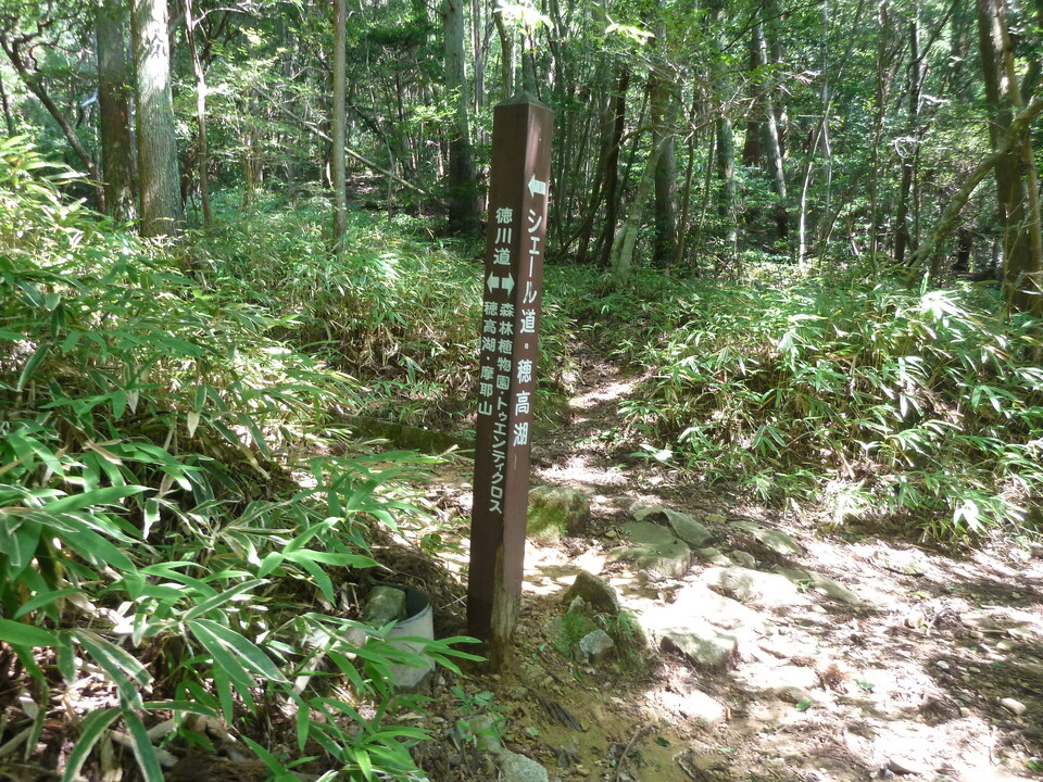 P1220609_mid.jpg