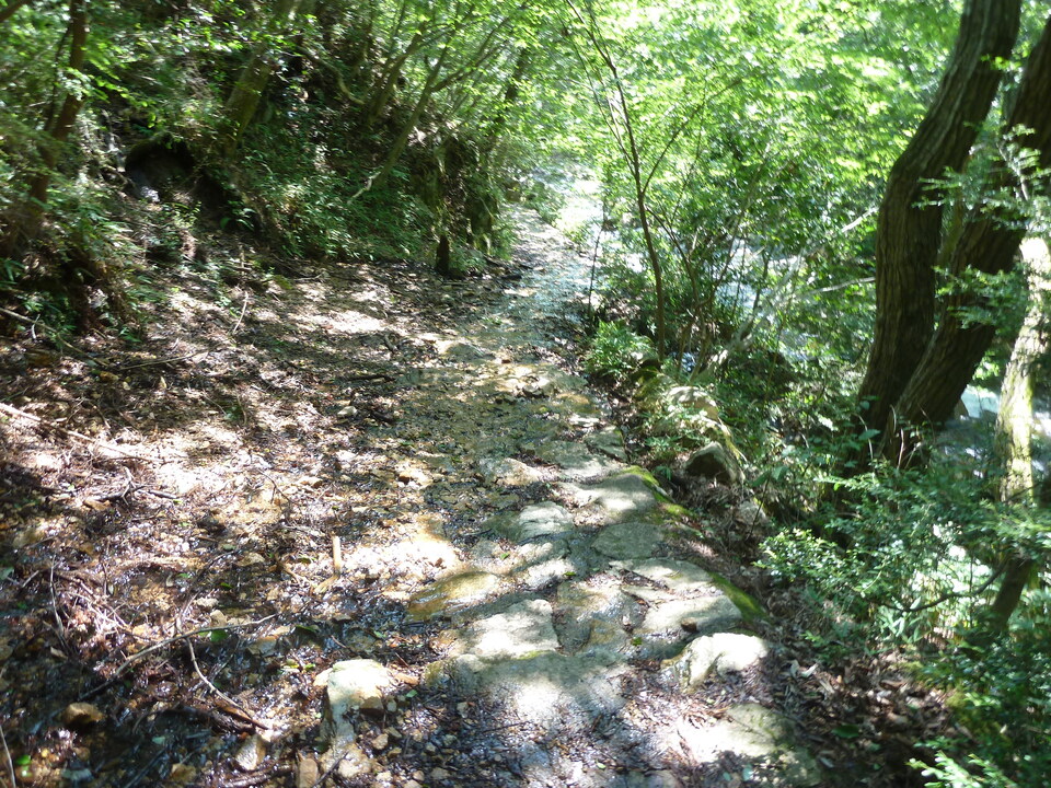 P1220612_mid.jpg