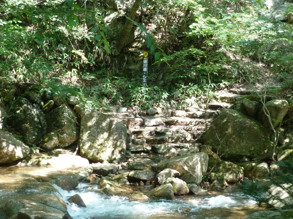 P1220618_mid.jpg