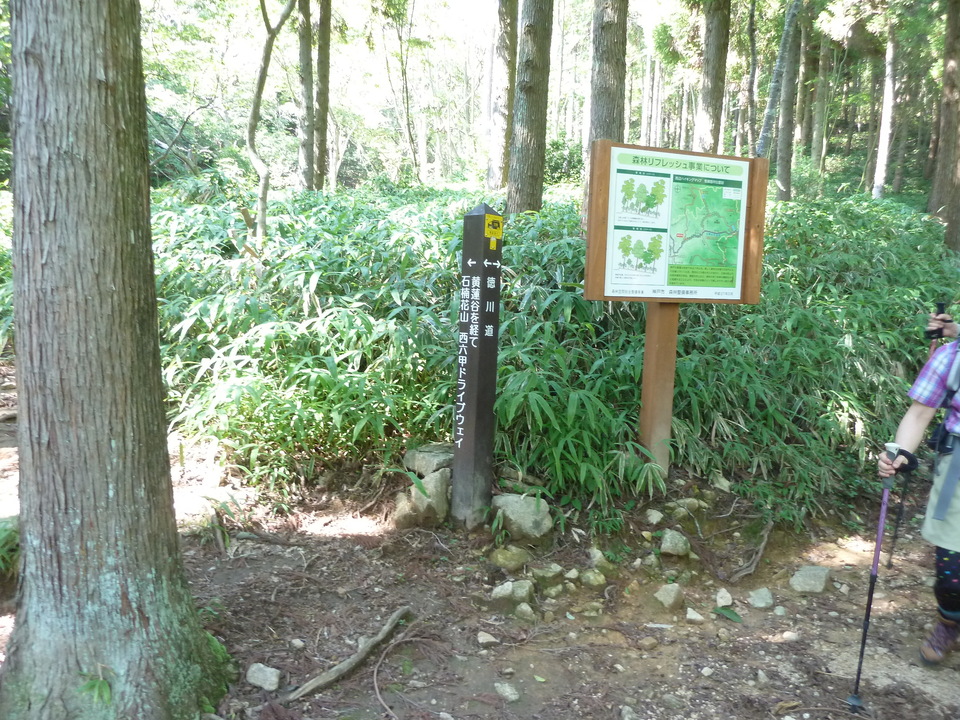 P1220623_mid.jpg