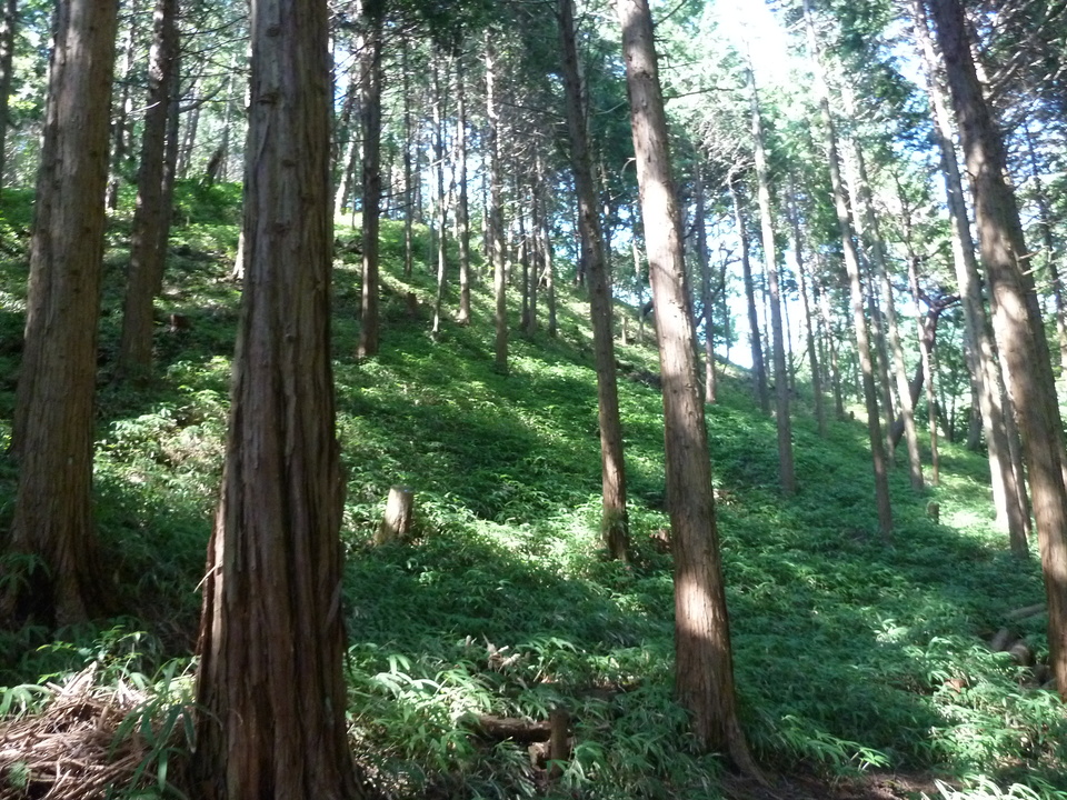 P1220632_mid.jpg