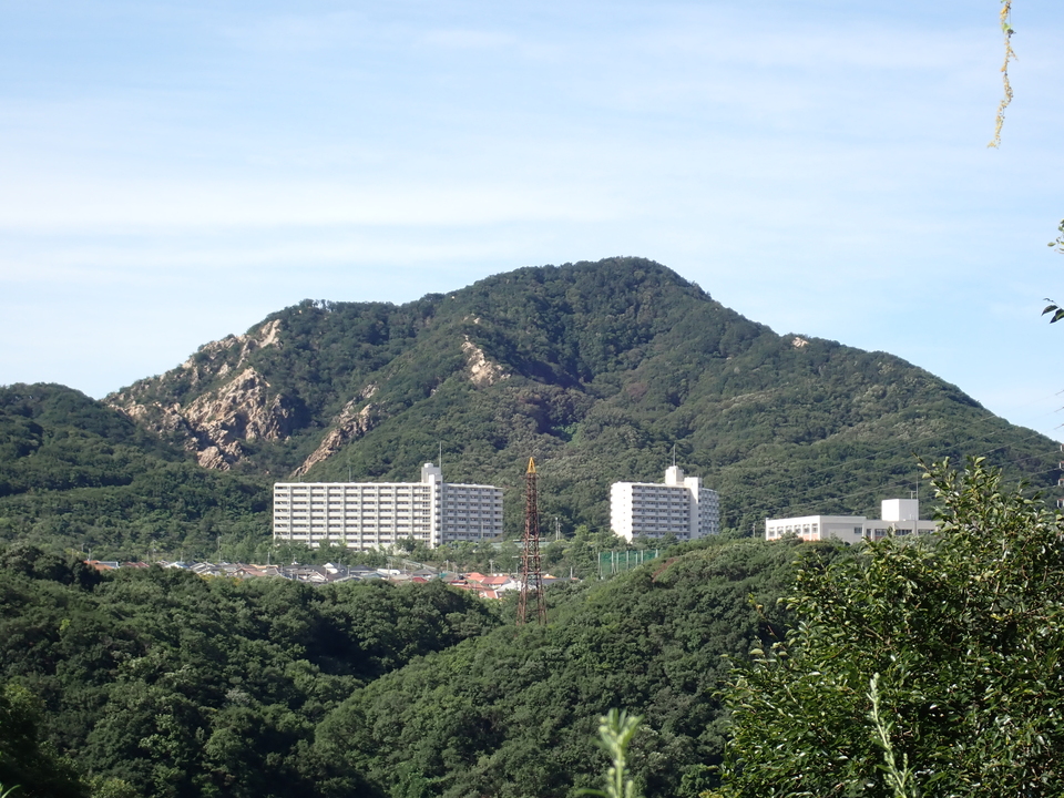 P9070529_mid.jpg