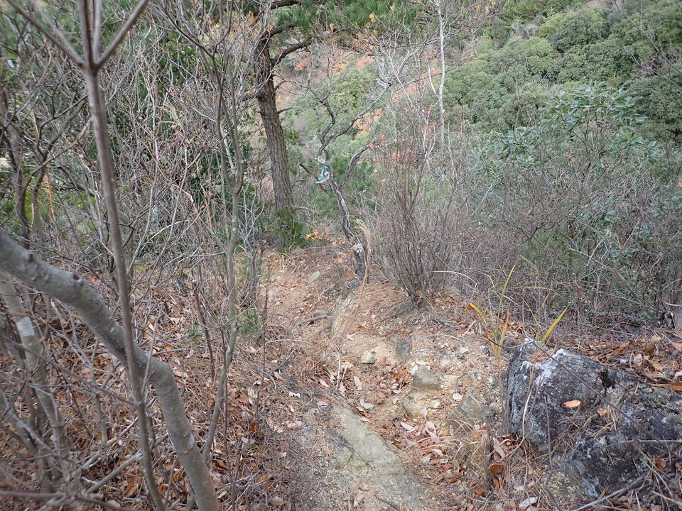 PC152310_mid.jpg