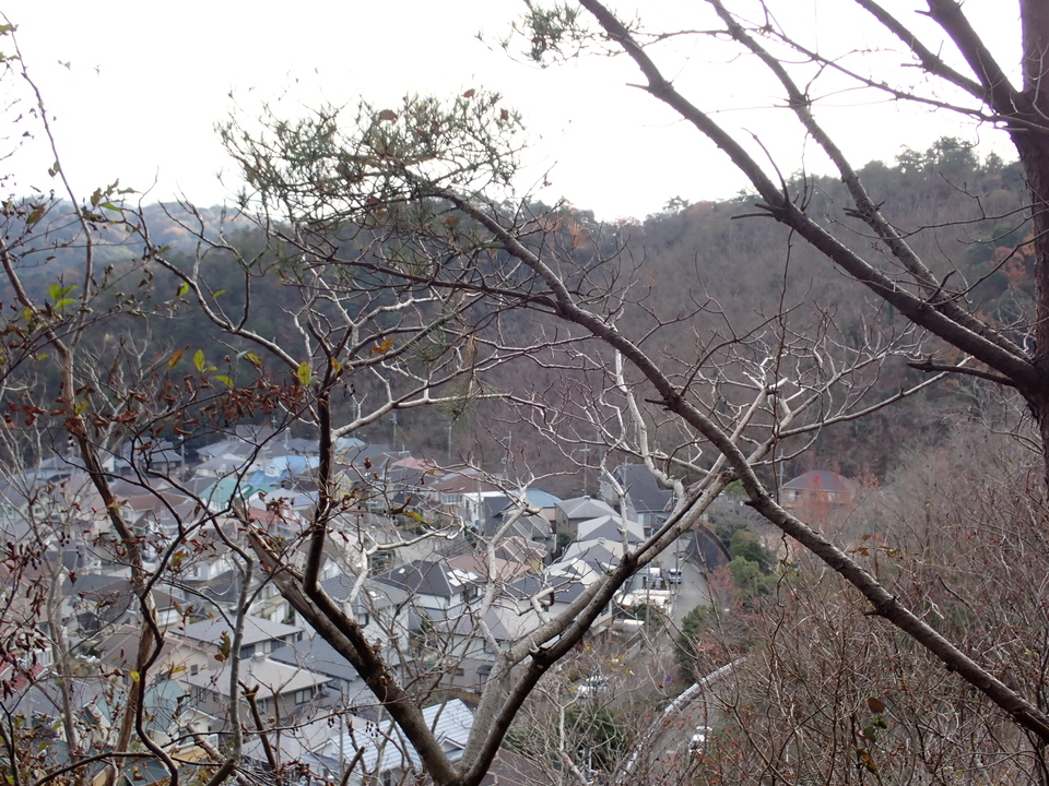 PC152335_mid.jpg