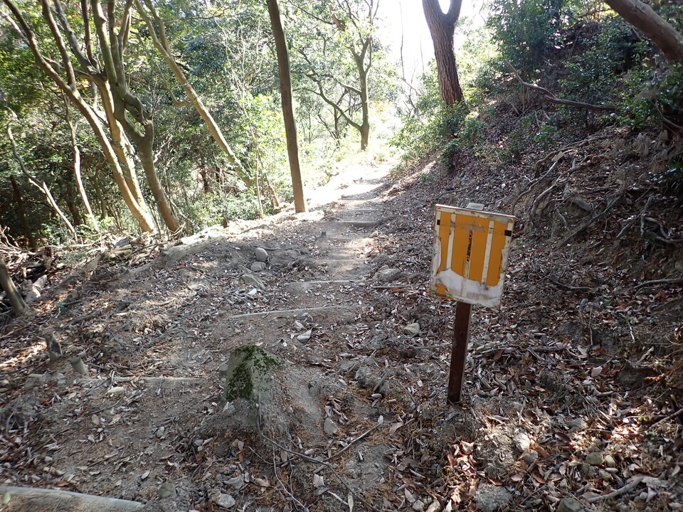 PC152374_mid.jpg