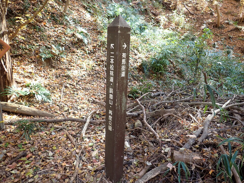PC152384_mid.jpg