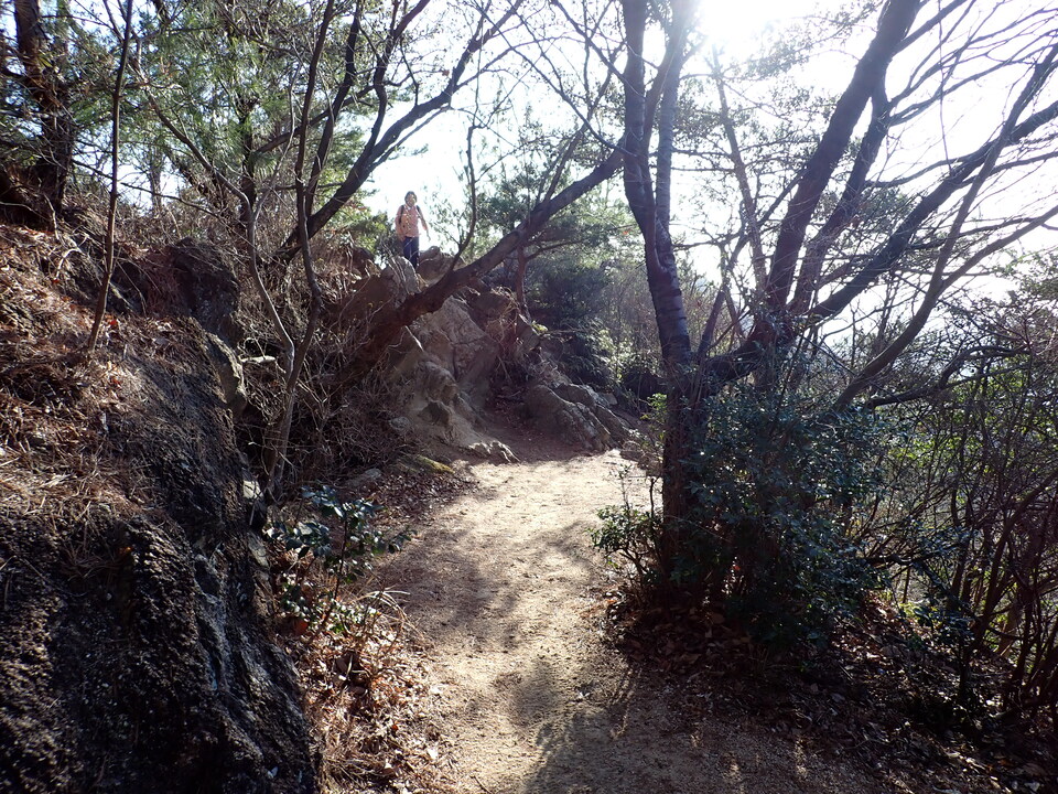 P2242842_mid.jpg