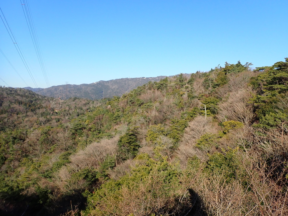 P2242860_mid.jpg