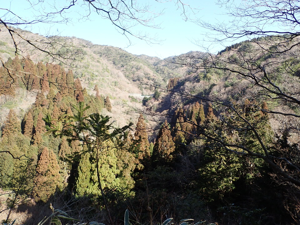 P2242894_mid.jpg