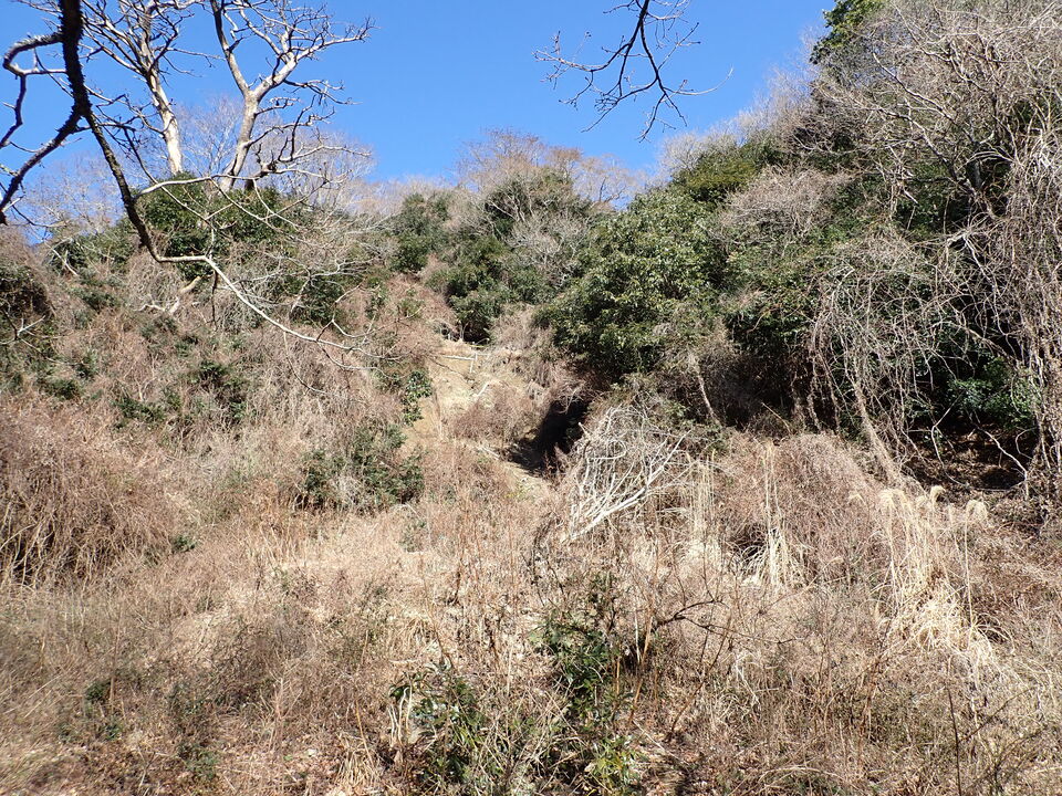 P2242920_mid.jpg