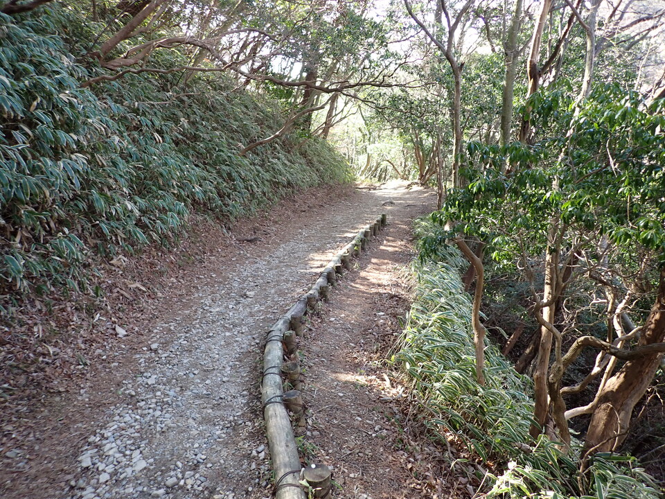 P2242924_mid.jpg