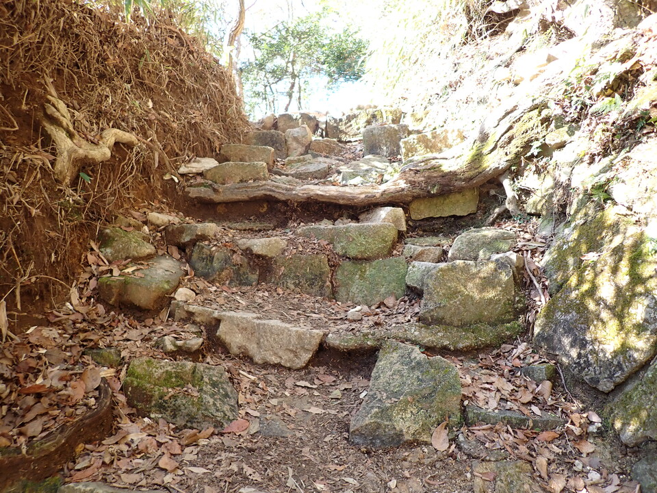 P2242925_mid.jpg